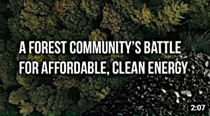 Energy in the Forest