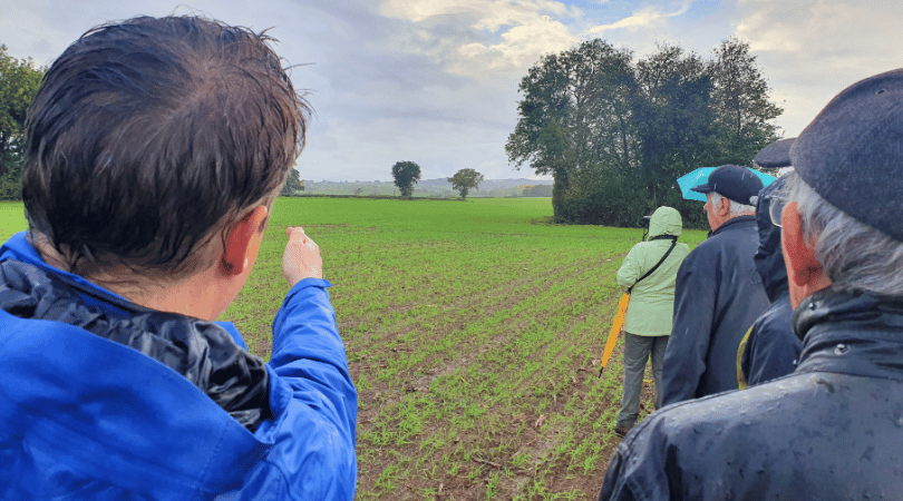 Lightwood Solar Farm